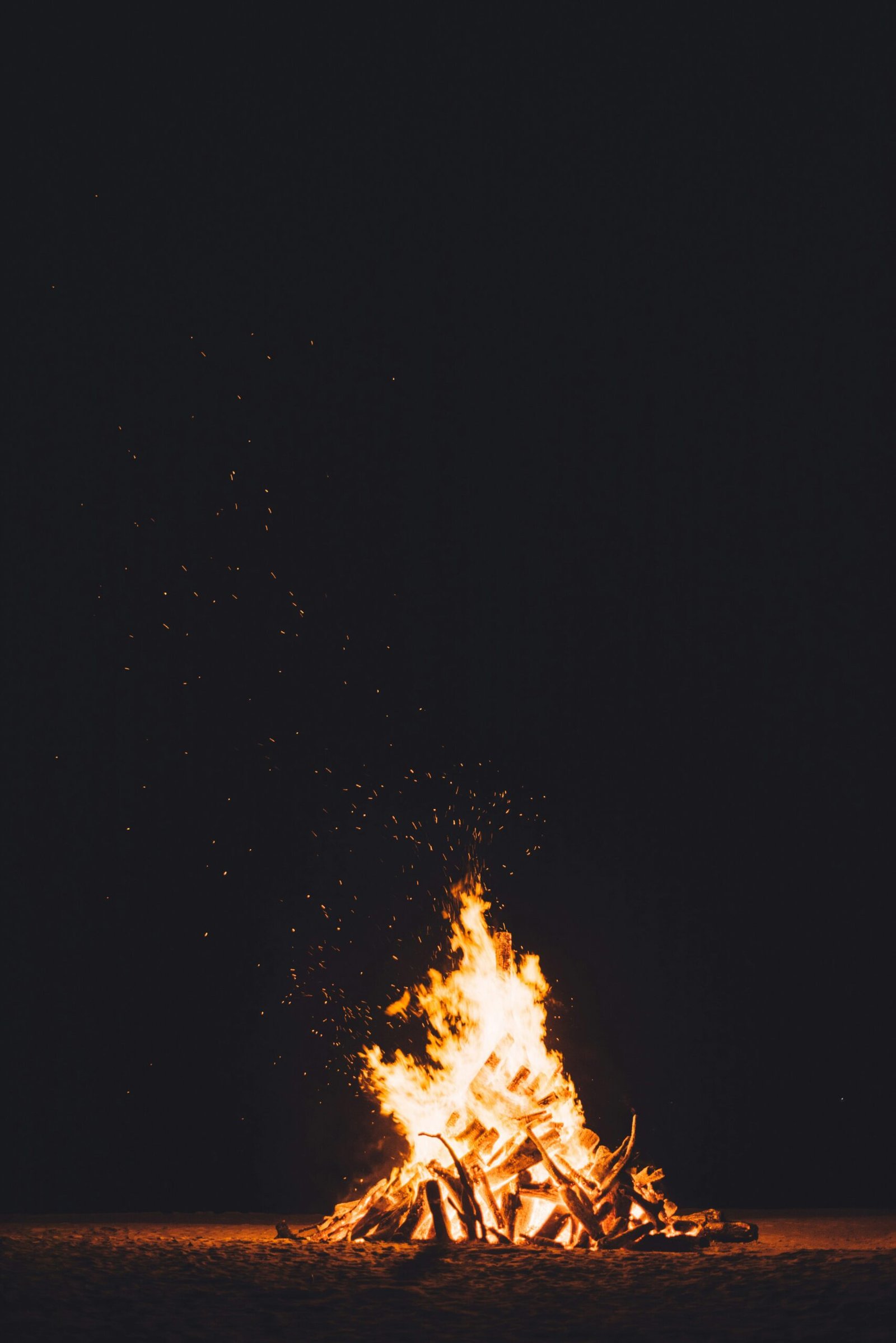 photography of burning camp fire